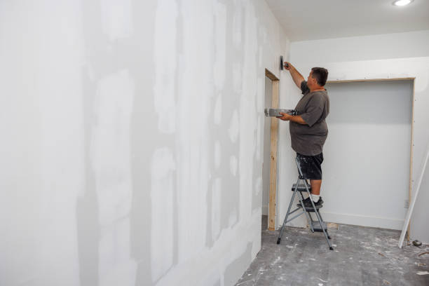 Environmental Consulting for Mold Prevention in Pampa, TX